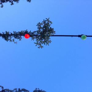 13167172_280176345652113_93184122_n(1)